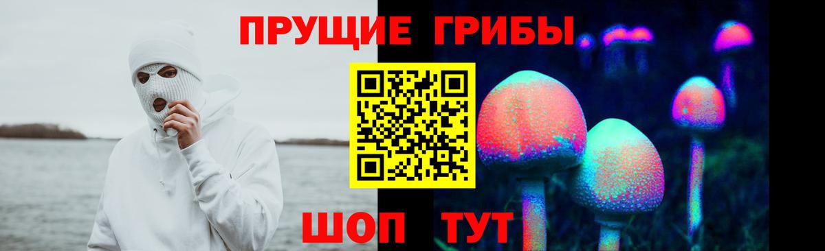 Псилоцибиновые грибы мицелий  Вход с VPN  Псилоцибиновые грибы Magic Shrooms  Тавда 